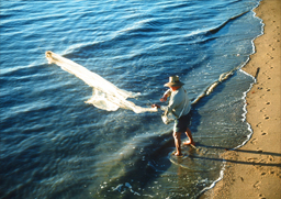 The Fisherman's Net